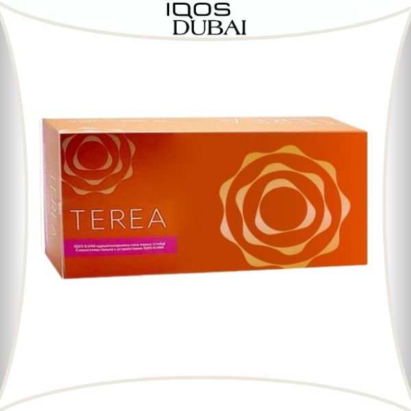 IQOS TEREA AMBER KAZAKHSTAN | BEST IN DUBAI UAE
