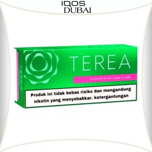 IQOS TEREA GREEN INDONESIA IN DUBAI