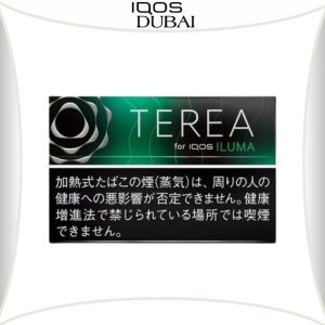 TEREA Black Menthol for IQOS ILUMA Dubai UAE